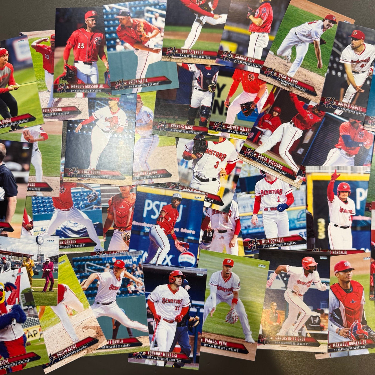 2025 Harrisburg Senators Team Set Harrisburg Senators Official Store