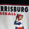Harrisburg Senators Youth '47 Brand Long Sleeve Playball Tee
